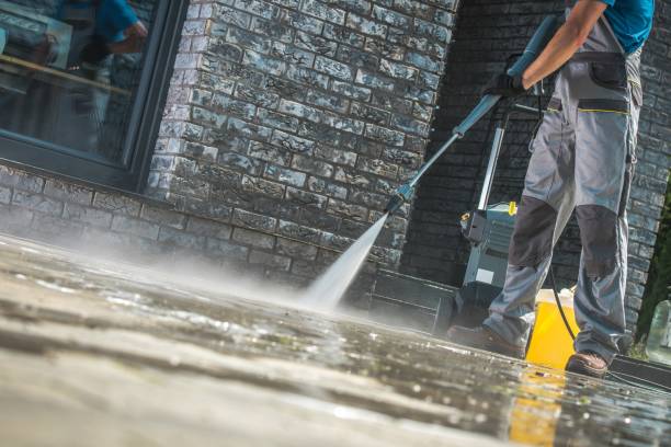 Best Roof Cleaning and Mildew Removal in Chicago, IL